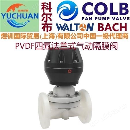 RPP塑料隔膜阀，进口FRPP隔膜阀，塑料隔膜阀，美国COLB科尔布隔膜阀