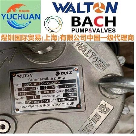 进口无堵塞潜水排污泵，进口移动式潜水泵，进口潜水排污泵，美国WALTON沃尔顿潜水泵厂家