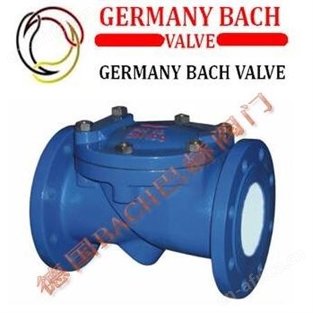 德国BACH巴赫进口丝扣Y型过滤器 丝扣Y型过滤器