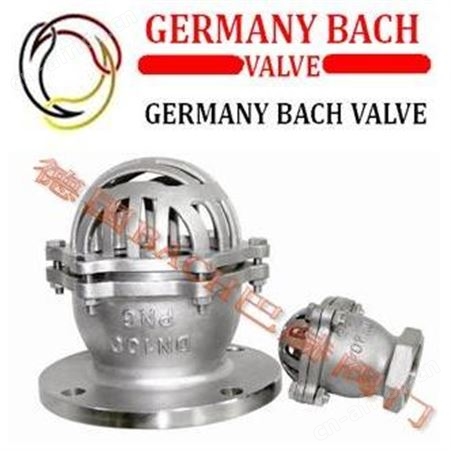 德国BACH巴赫进口丝扣Y型过滤器 丝扣Y型过滤器