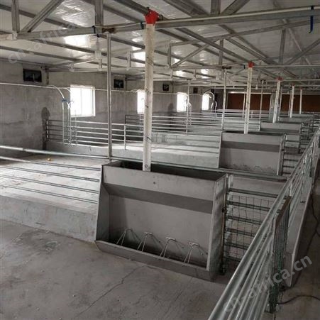 自动料线  养猪自动料线设备 沧州瑞昂