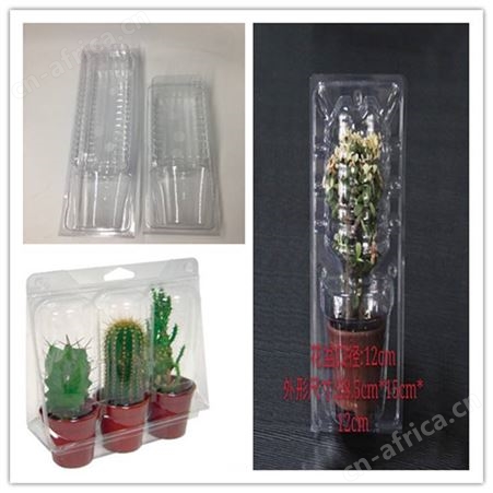 多肉植物包装多肉植物包装 广东省惠州市吸塑包装定制