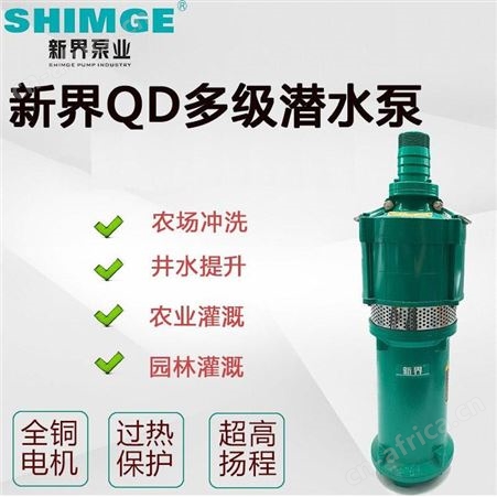 SHIMGE新界干式潜水电泵QD15-20/2-1.5J民用220V排水泵