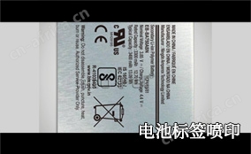 R1电池标签可变喷印系统技术参数 Technical Parameters R1电池标签可变喷印系统技术参数 Technical Parameters
