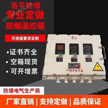 BXK防爆仪表箱 铸钢仪表控制箱 触摸屏配电箱 按键操作仪表箱 洛平防爆