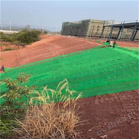 三维植被网边坡防护 支持定制加筋做拉伸绿化用土工网垫