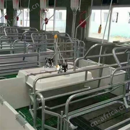 养殖设备母猪产床 价格称心 产保一体猪床 双体母猪产床 咨询订购
