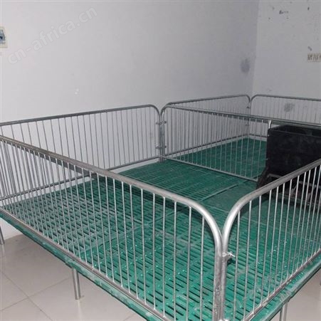 定制加工 猪用保育床 小猪塑料保育床 猪场保育床 加工定做