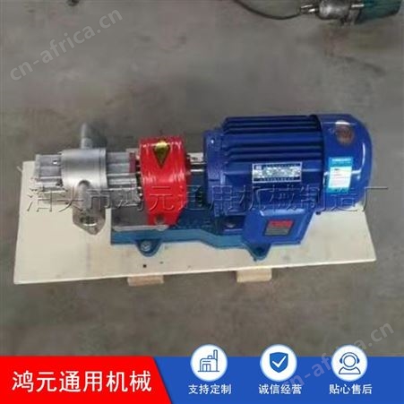 批发 不锈钢保温齿轮泵 立式导热油泵 高温导热油泵 匠心工艺