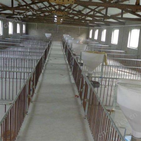 价格称心 仔猪保育床  仔猪双体保育床 猪场用保育床 支持定制