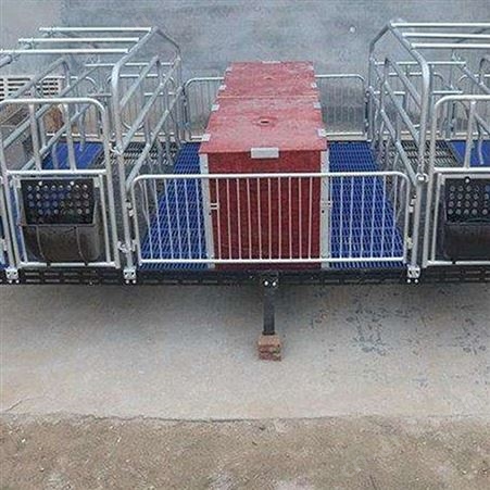 价格合理 双体母猪产床 咨询订购 全复合双体母猪产床 双体母猪产床