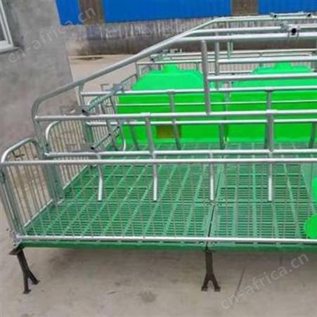 价格合理 双体母猪产床 咨询订购 全复合双体母猪产床 双体母猪产床