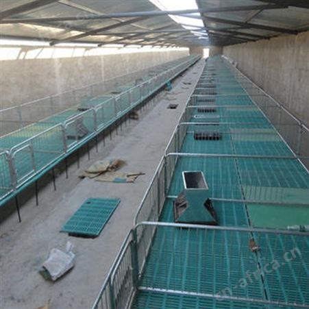 定制加工 猪用保育床 小猪塑料保育床 猪场保育床 加工定做