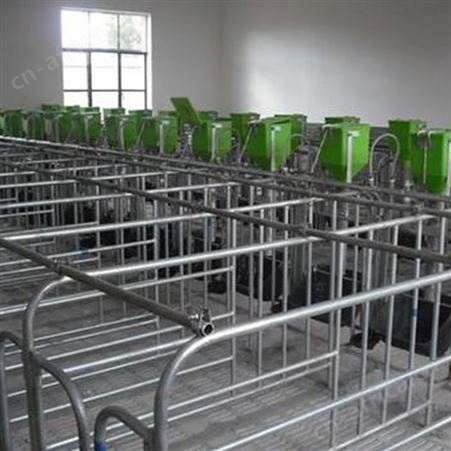 热镀锌定位栏 价格称心 咨询订购 限位栏 母猪落地式定位栏