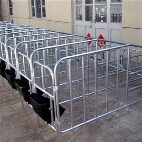 批量供应 猪用定位栏限位栏  一组十位定位栏 母猪定位栏  性能稳定