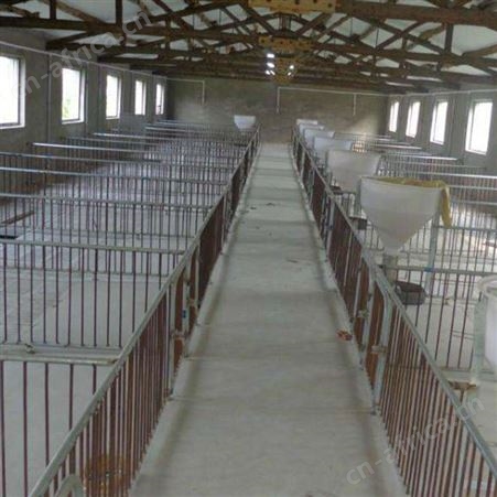 诚信经营  小猪保育床 大量供应 仔猪用保育床 新款式复合板保育床