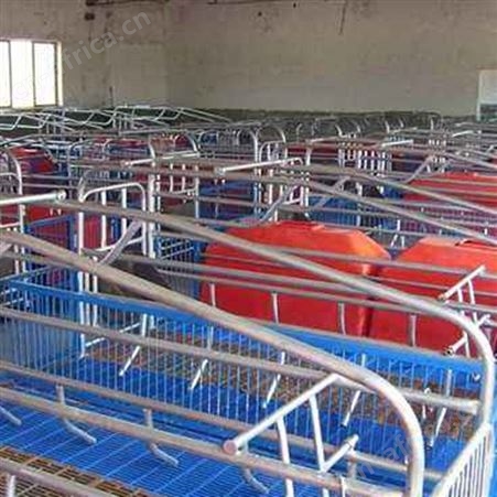 供应 养殖场母猪产床 双体复合母猪产床 养猪双体产床设备 母猪食槽