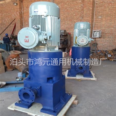 供应 HPB40-2立式滑片泵 40立方立式防爆柴油滑片泵 60立方立式叶片泵