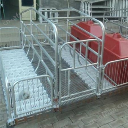 养猪自动化料线 喂猪料线 猪场自动料线 价格称心