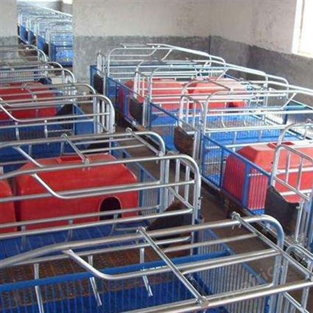 库存充足 加工生产 复合母猪产床 产保两用猪产床 加厚猪用产床
