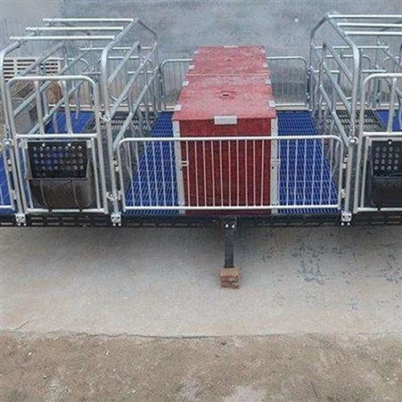 母猪产床 定制生产 价格称心 复合板母猪产床  猪用产床
