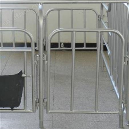 五位限位栏 定位限位栏 猪用限位栏 欢迎来电订购