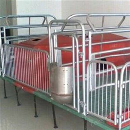 库存充足 加工生产 复合母猪产床 产保两用猪产床 加厚猪用产床