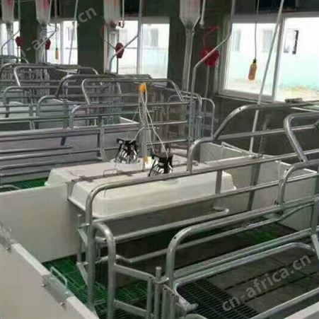 产保一体产床 咨询订购 双体位母猪产床 双体猪用 规格多样