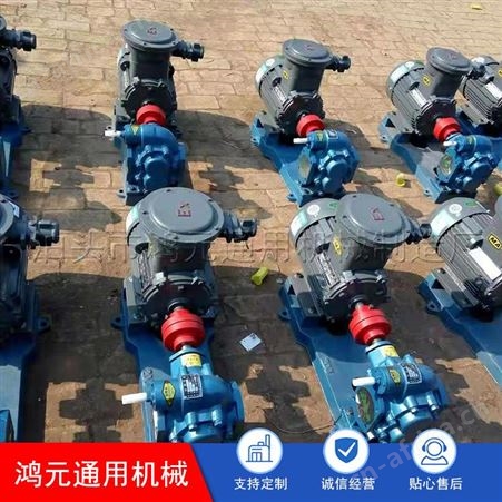 批发 不锈钢保温齿轮泵 立式导热油泵 高温导热油泵 匠心工艺