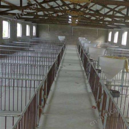 加工定做 保育床 小猪塑料保育床 定制供应 小猪保育床