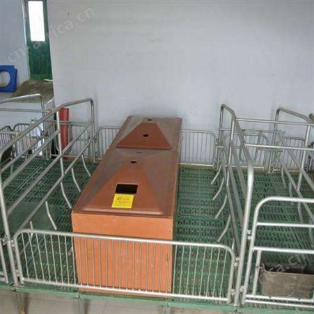 加工出售 养猪设备双体母猪产床 产保一体产床 猪用产床 规格可定制