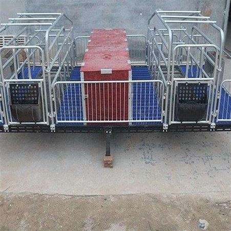 加工出售 养猪设备双体母猪产床 产保一体产床 猪用产床 规格可定制