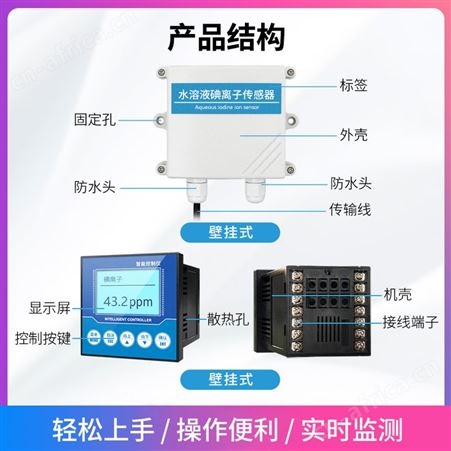 碘离子传感器 碘离子测试仪 水中碘离子分析仪