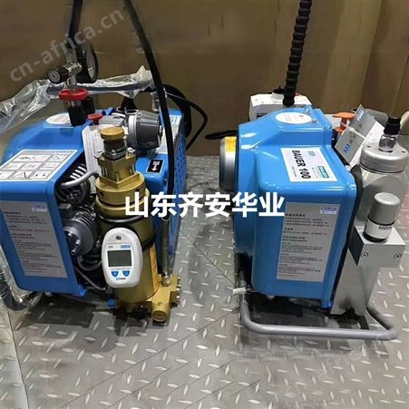 宝华J II E进气滤芯N4823高压空气压缩机JUNIOR II呼吸器充气泵