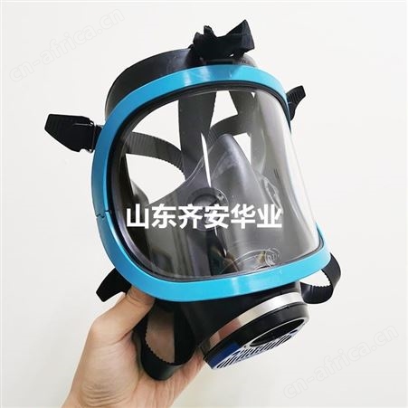 1710643Honeywell/斯博瑞安Cosmo 1710643霍尼韦尔防毒面具 全面罩 Rd40单滤毒罐