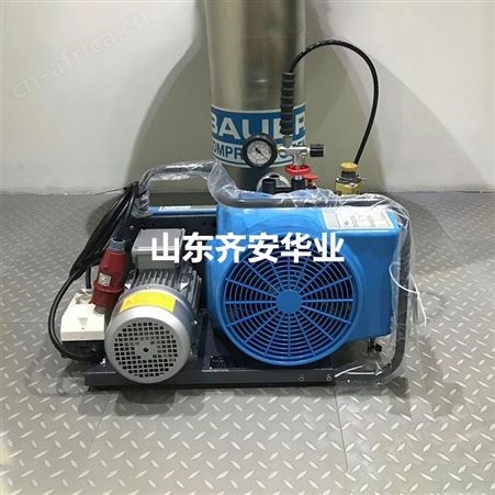 德国宝华BAUER JUNIOR II N2817呼吸器充气泵高压软管、空气压缩机