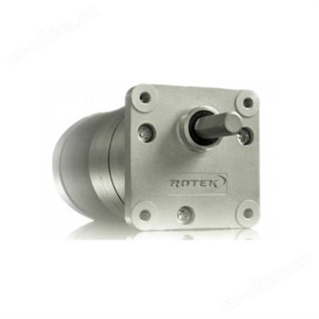 ROTEK电机SWM65/30-6 A4