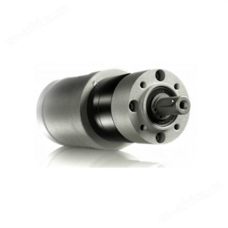 ROTEK电机SWM65/30-6 A4