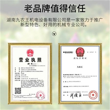 老莲子磨皮机 红莲子抛光磨白机 自动莲子去薄皮机器