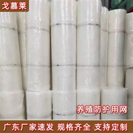 四川养鸡塑料平网生产厂家直供养宠物加厚塑料网 PE加厚防护网 戈慕莱