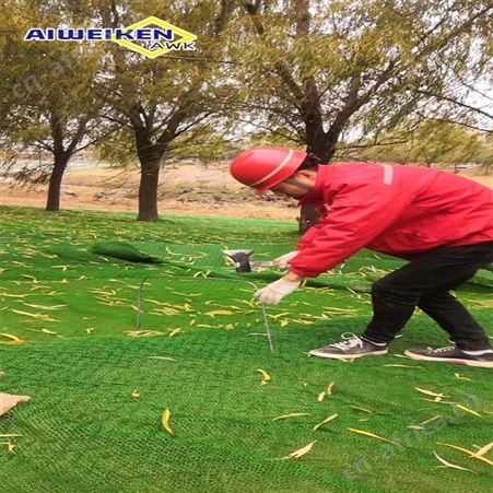 三维植被网 天津EM2-5植草三维植被网护坡固土
