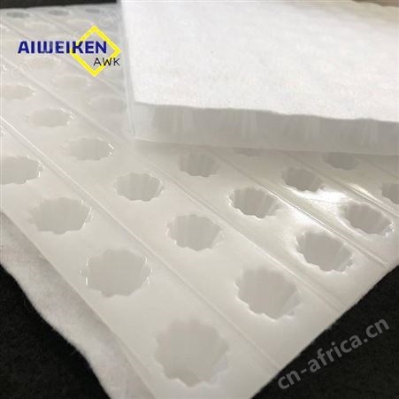 HDPE排水板 高分子塑料异形片 天津排水板厂家定制