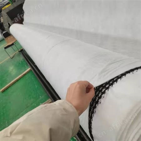 国标6毫米三维复合排水网 填埋场土工网芯 导流排水