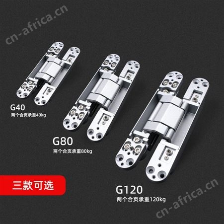 乐朗G40三维可调暗绞隐藏门合页木门铰链锌合金门铰2只承重   隐形门合页