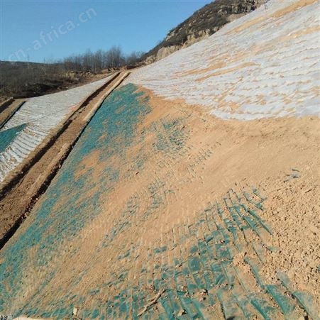 绿色草籽生态袋 边坡防护140g无纺布袋_抗氧化寿命长