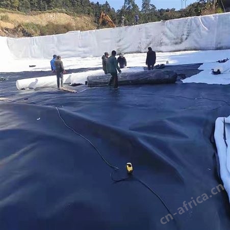 全新料HDPE土工膜 猪场化粪池尾矿库防渗_可供检测