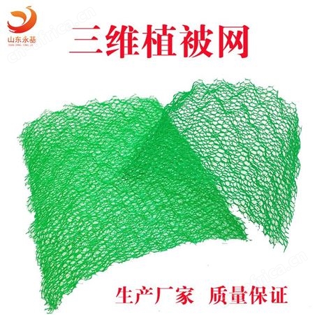护坡植草三维植被网厂家 EM4三维土工网垫 加筋三维网