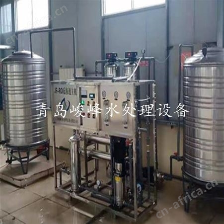 反渗透膜深度除盐直饮水设备 餐饮单位峻峰1吨纯净水简配 免安