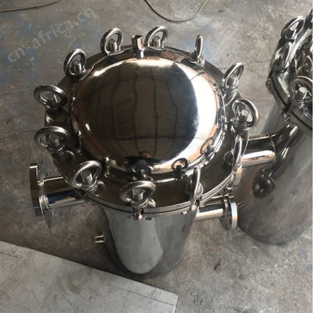 蓝式过滤器直通法兰式蓝式过滤器 篮式过滤器直筒提篮式型DN100DN