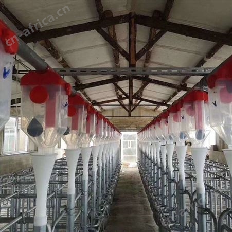 厂家 养殖场自动料线 干湿喂料器 料线定量器 华清养猪设备
